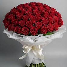 Букет 101 Красная роза Блэк Мэджик #REPLACE_PRED# Черемхово