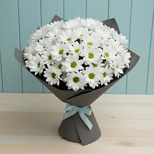 Букет цветов из:  Хризантемы в Черемхово