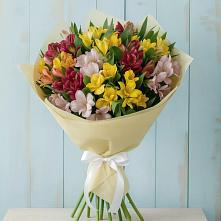Букет цветов из:  Альстромерии #REPLACE_PRED# Черемхово