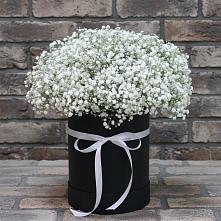 Цветочная композиция из Гипсофила в шляпной коробке #REPLACE_PRED# Черемхово