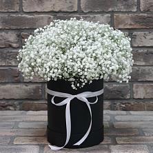 Цветочная композиция из Гипсофила в шляпной коробке в Черемхово